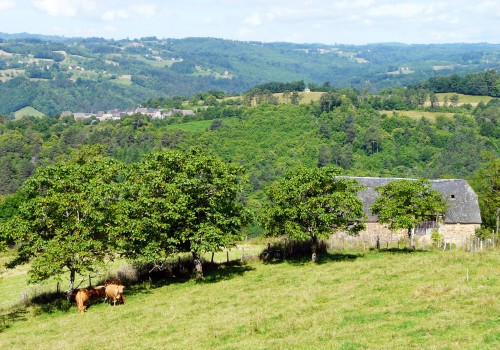 S'installer dans le village de Saint Bonnet Elvert