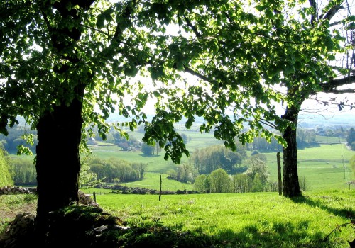 S'installer dans le village de Neuville