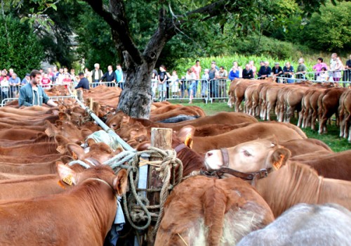 S'installer dans le village de Monceaux sur Dordogne